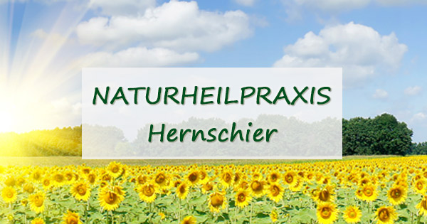 (c) Naturheilpraxis-hernschier.de